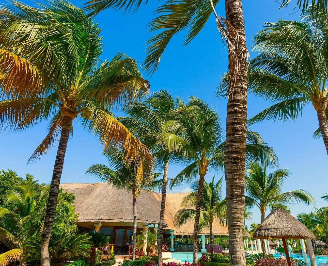 ***** Resort Trs Yucatan Hotel - Adults Only Akumal Mexiko